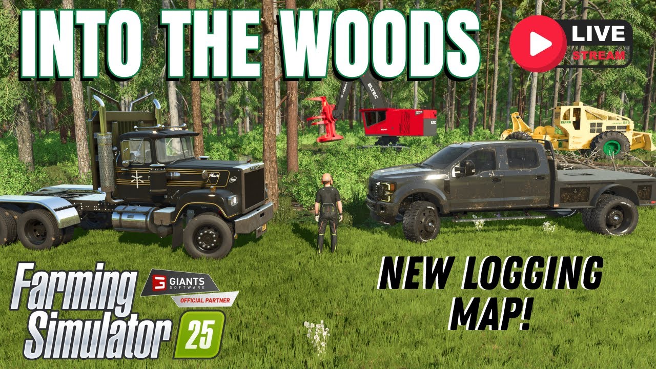 INTO THE WOODS - NEW LOGGING MAP - FS25