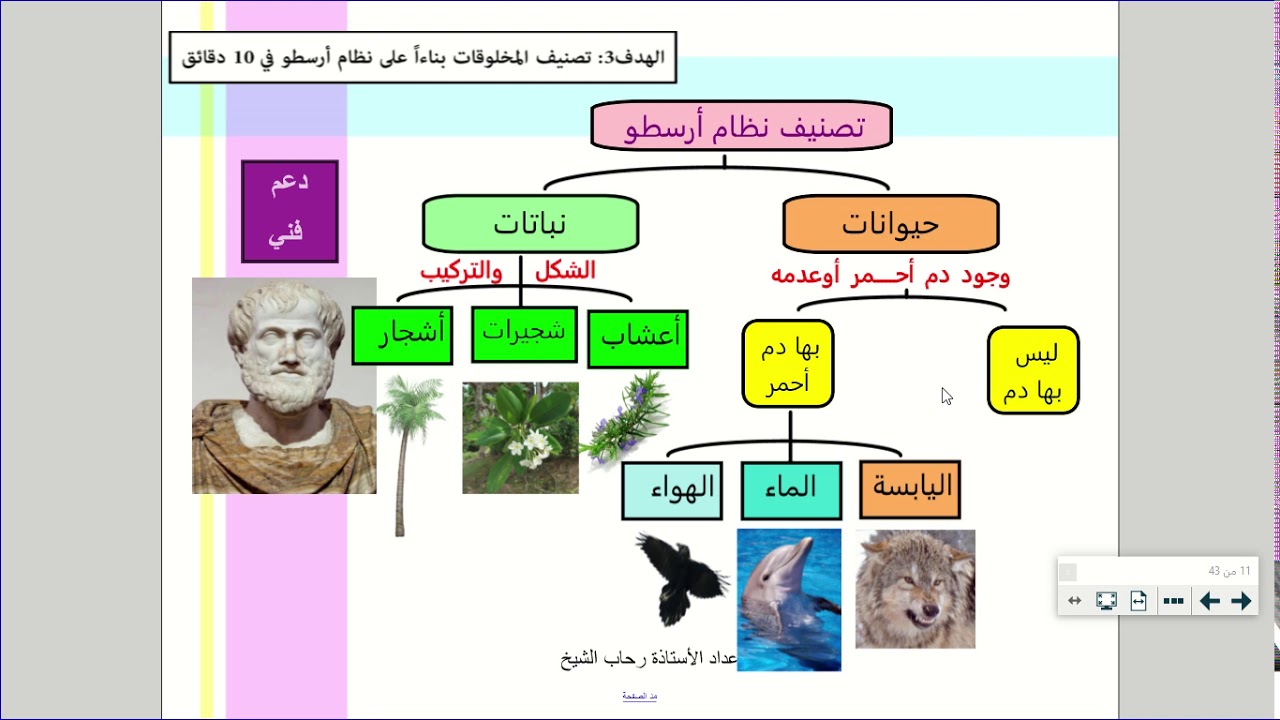 مقرر الأحياء 1...تاريخ التصنيف-نظام أرسطو