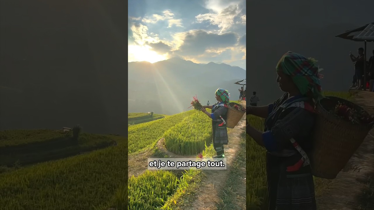 La R&eacute;colte du Riz en 27 secondes au Vietnam 🇻🇳