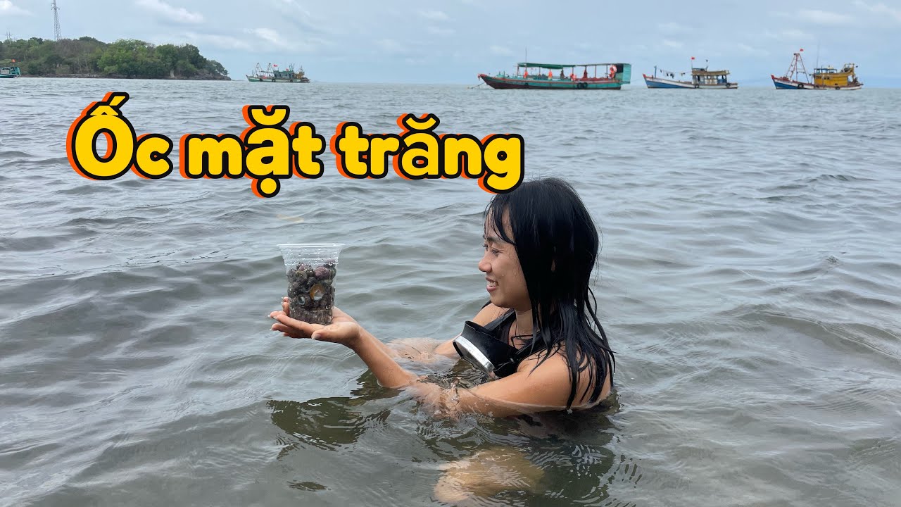 💚Trãi nghiệm tự tay bắt “ốc mặt trăng” (ốc mắt ngọc), ốc nón lá… tại đảo “Hải Tặc” #xuantrangmientay