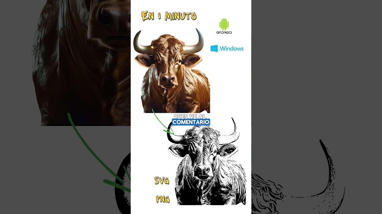 c&oacute;mo vectorizar una imagen de manera sencilla y r&aacute;pida #vectorizar #vectores #im&aacute;genes #short