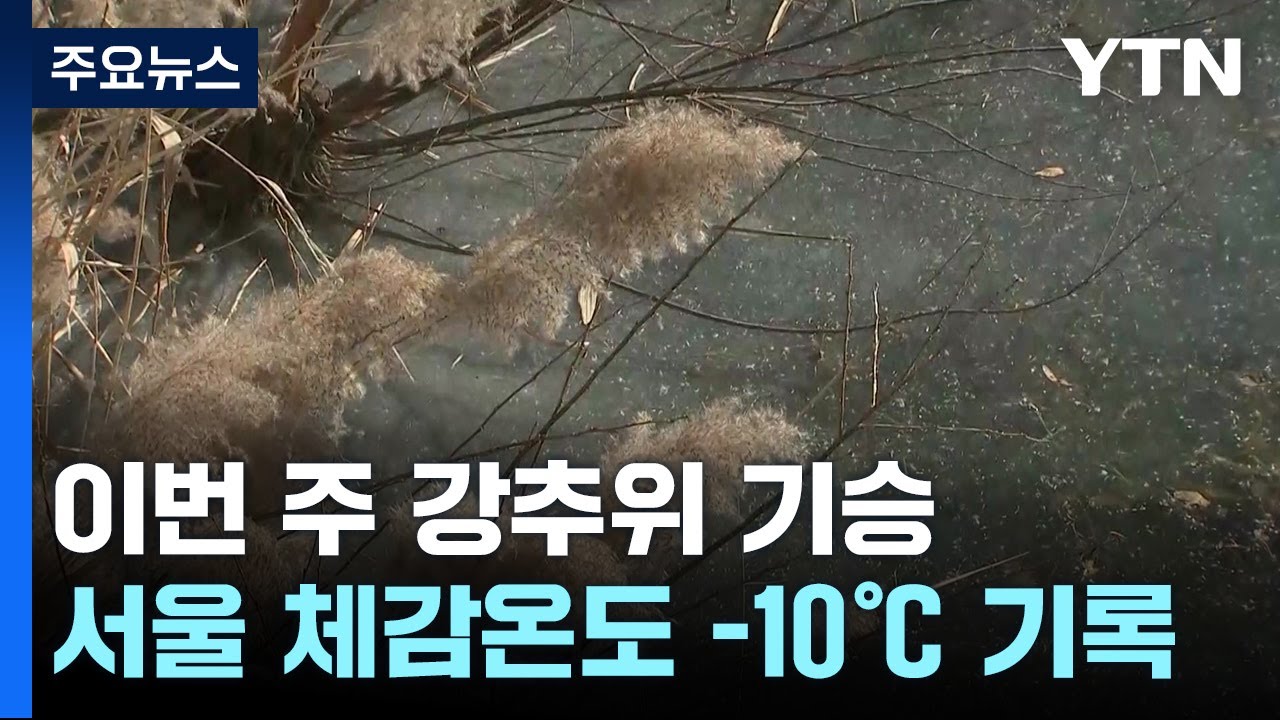[날씨] 긴 추위에 바짝 메마른 대기...전국 곳곳 '산불 비상' / YTN