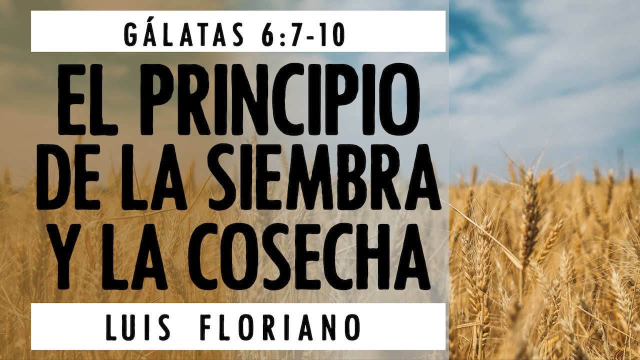 Gálatas 6:7-10. Principio de la siembra y la cosecha