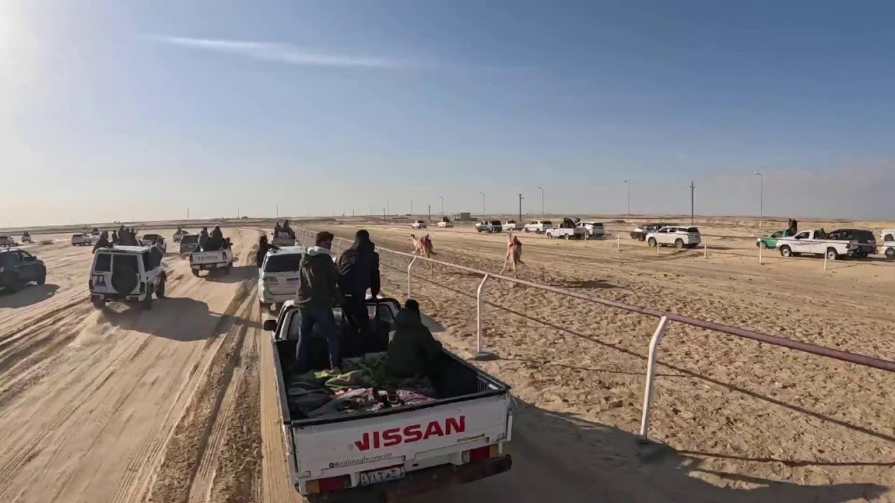 البكره خطافه  تنتزع شوط أول صريمه لقايا  من مسافة 4 كم من أرضية ميدان العريش لسباق الهجن شمال سيناء