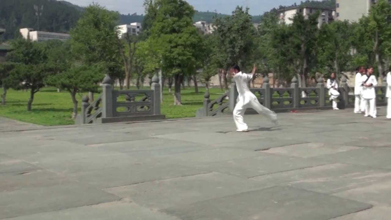 Wudang Long Hua Jian - Dragon Sword - By Yuan Sen Yo