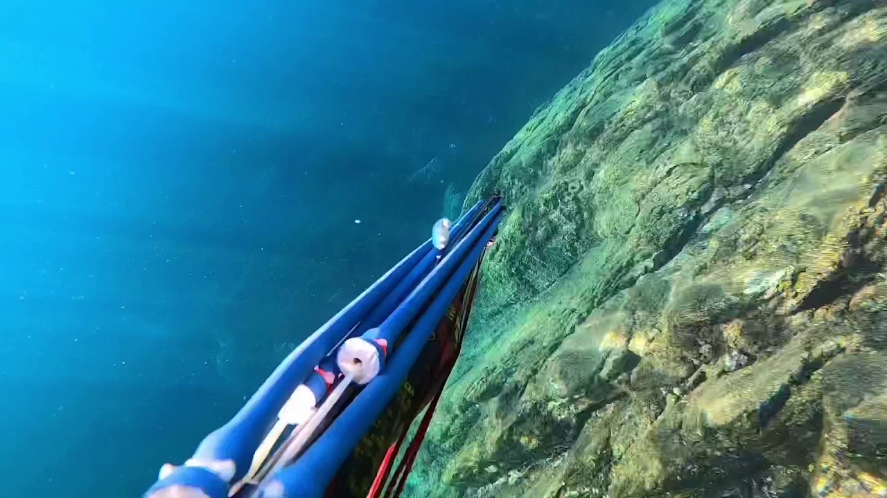 Belle sortie à cavalaire