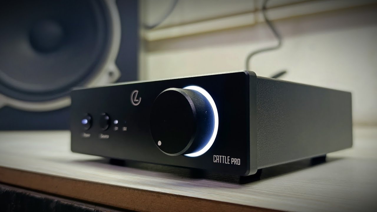 Это что то новое ! Усилитель LEAUDIO Catle pro