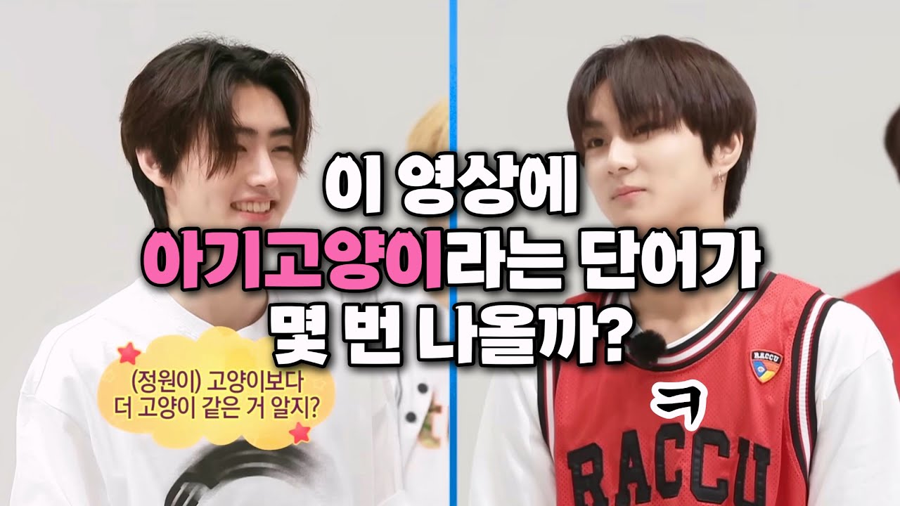 [엔하이픈 정원 성훈] 2023 아기고양이 모에화 모음집 #태릉즈