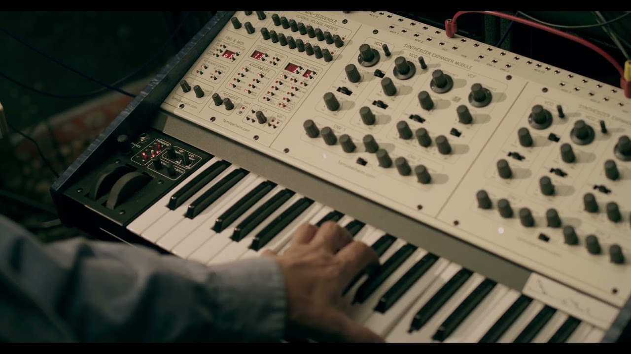 Oberheim Two Voice Pro