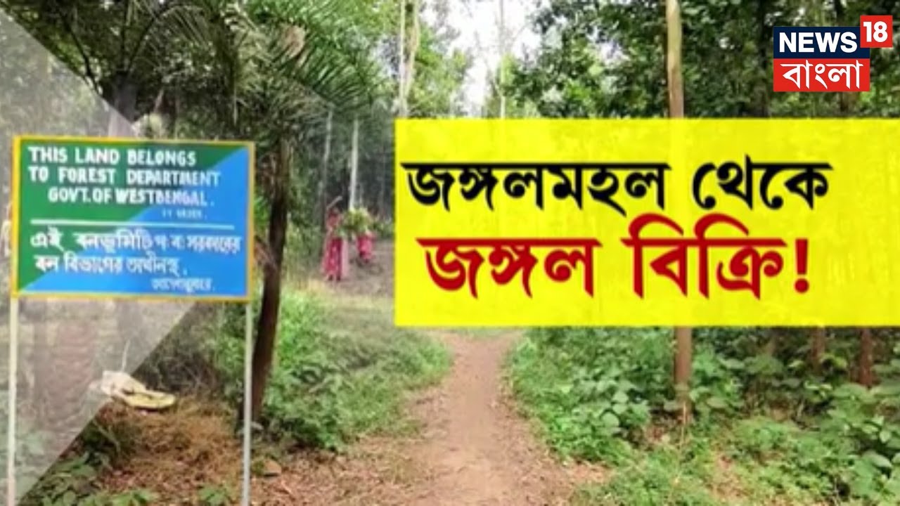 Jhargram News | ভুয়ো নথি তৈরি করে বন দফতরের আস্ত শালবন বিক্রি, চাঞ্চল্যকর অভিযোগ ঝাড়গ্রামে