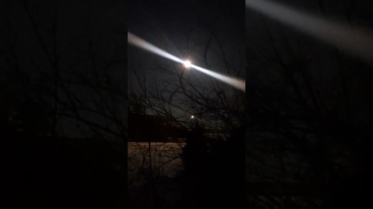 Organic Winter,Moonlight .