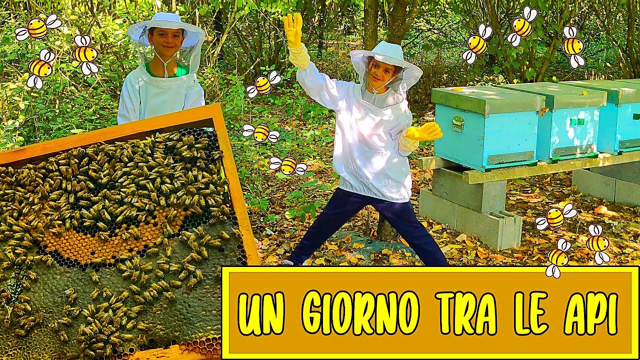 🐝 Un GIORNO tra le API: Api Operaie e Ape Regina 👑 Ciclo di Vita delle Api - Come si fa il MIELE? 🍯