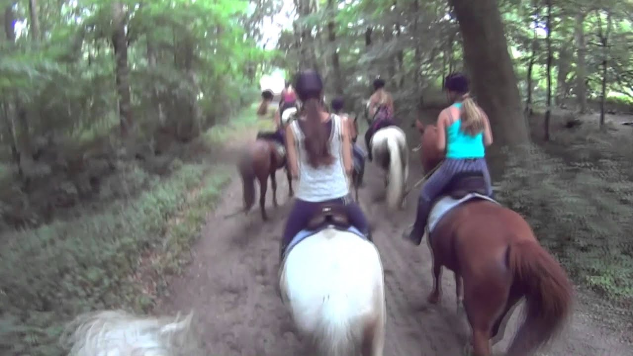 De bosrit (Ponykamp bij De Ripse Ruiters 2013)