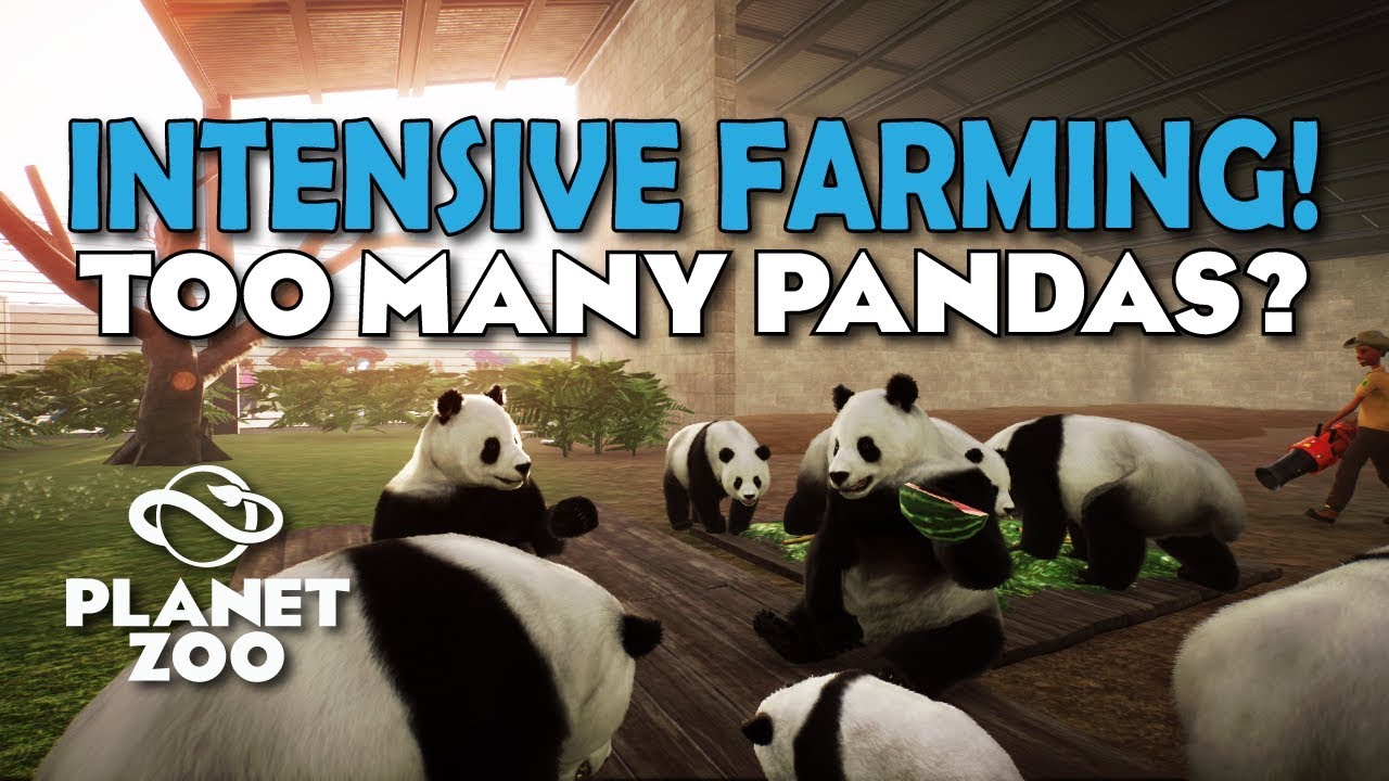 PANDA FACTORY OVERLOAD! | Planet Zoo