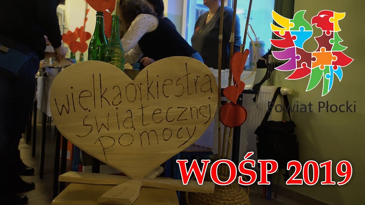 Powiat Płocki - WOŚP