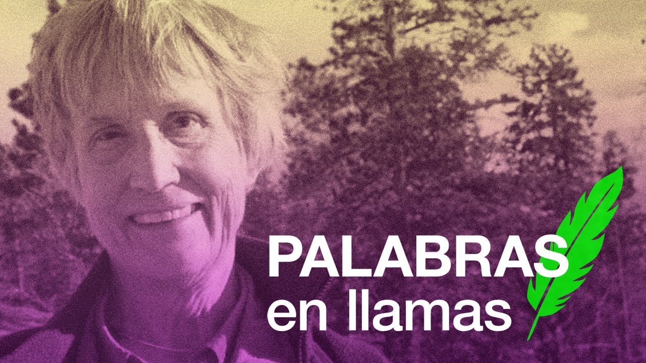 🔥 PALABRAS EN LLAMAS 🔥 Donna HARAWAY x Julieta Massacese