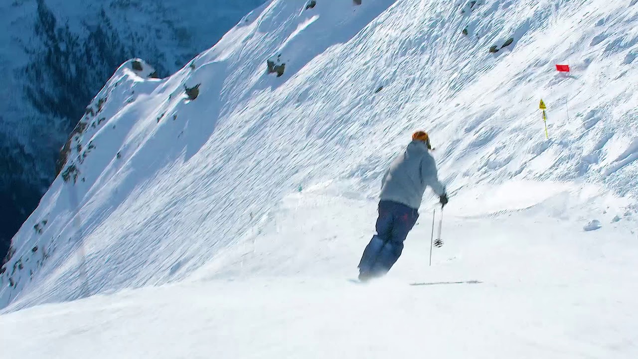 Monoski Piste Verte - Snowgunz