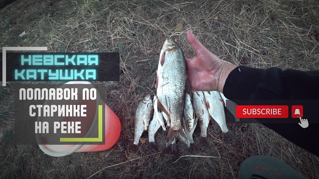 С поплавком на малой реке, Old school и невская катушка!