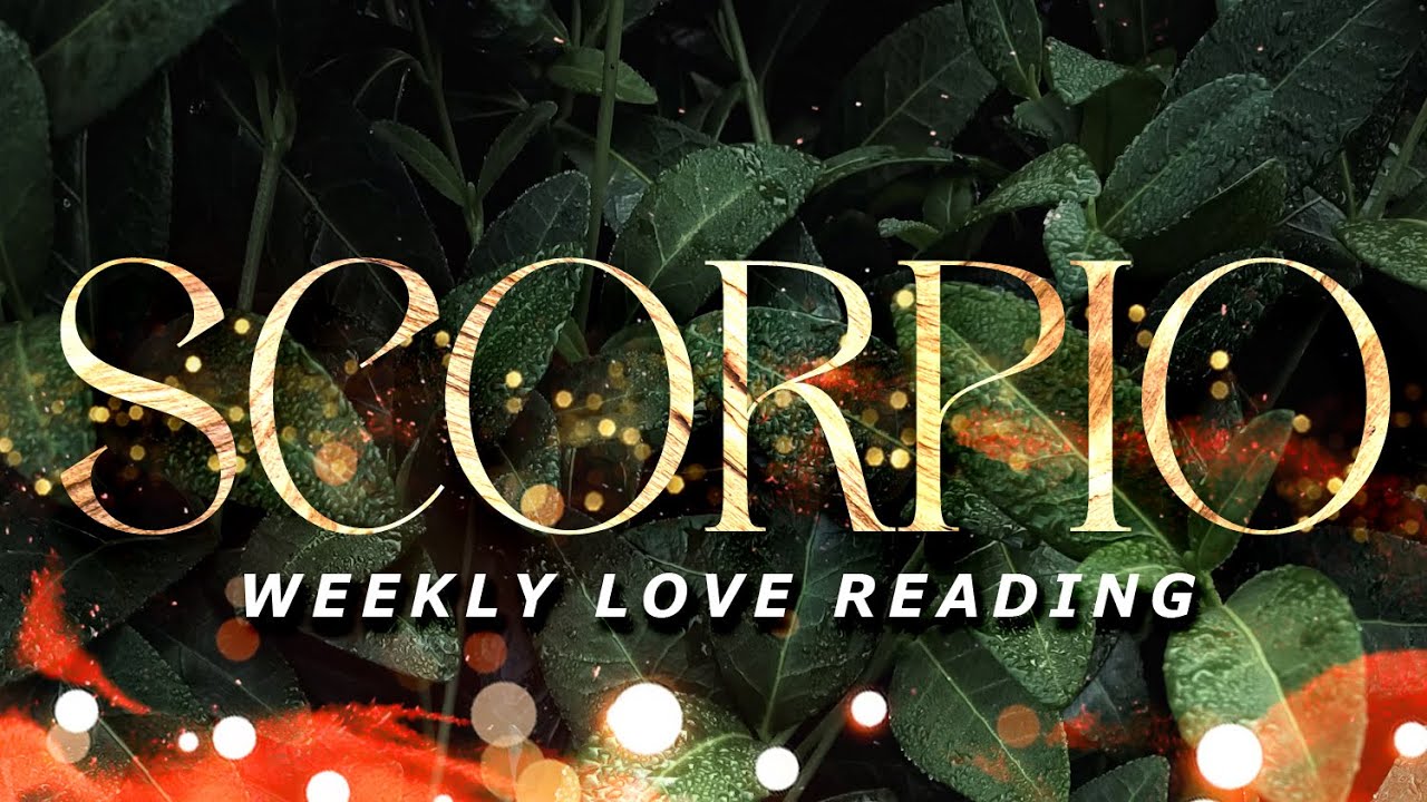 SCORPIO - Someone's Returning & Manifesting You Madly | Aug25-31