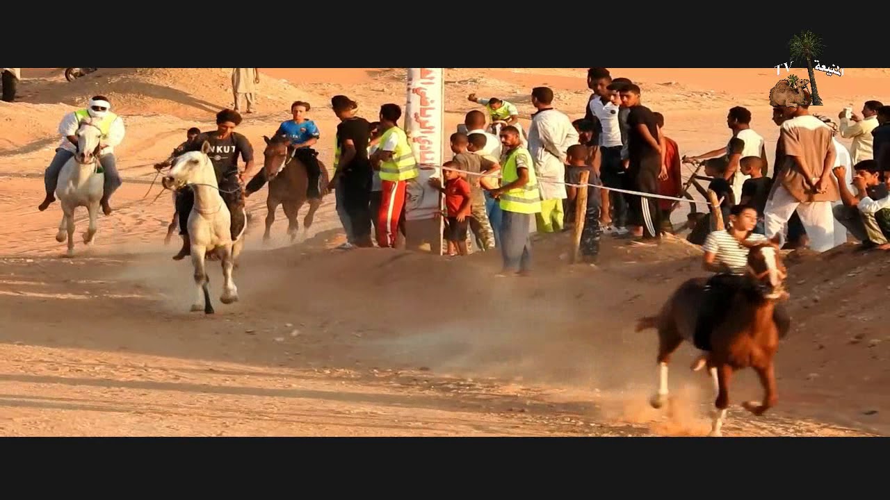 فيديو 🎬 خيالة لمنيعة فرسان الصحراء 🏇🏇🏇 2018
