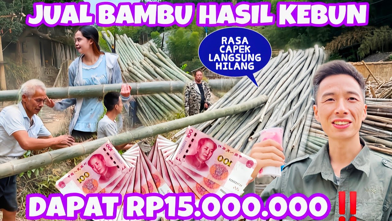 DI CHINA KAMI MENJUAL BAMBU  UNTUK MENGHASILKAN UANG,ALHAMDULILLAH
