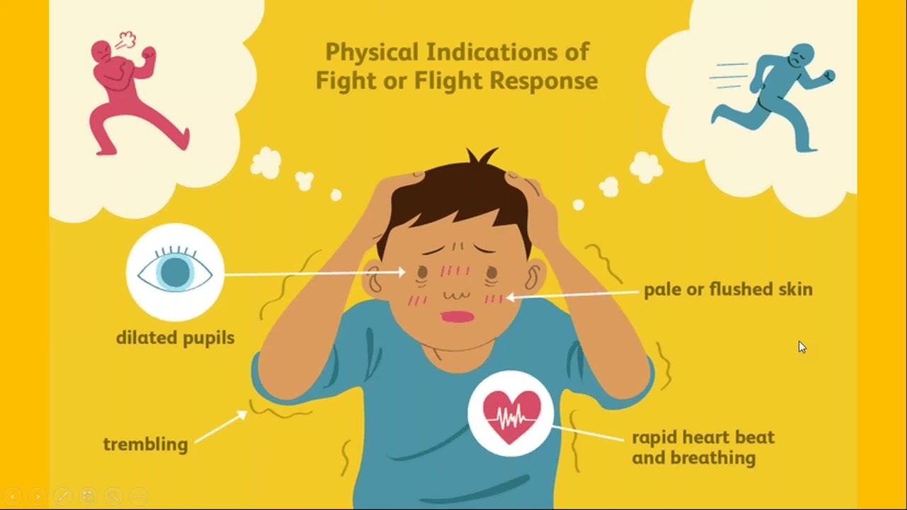 Anxiety, Depression, and Sleep: Mind Your Mind - PART ONE OF THREE