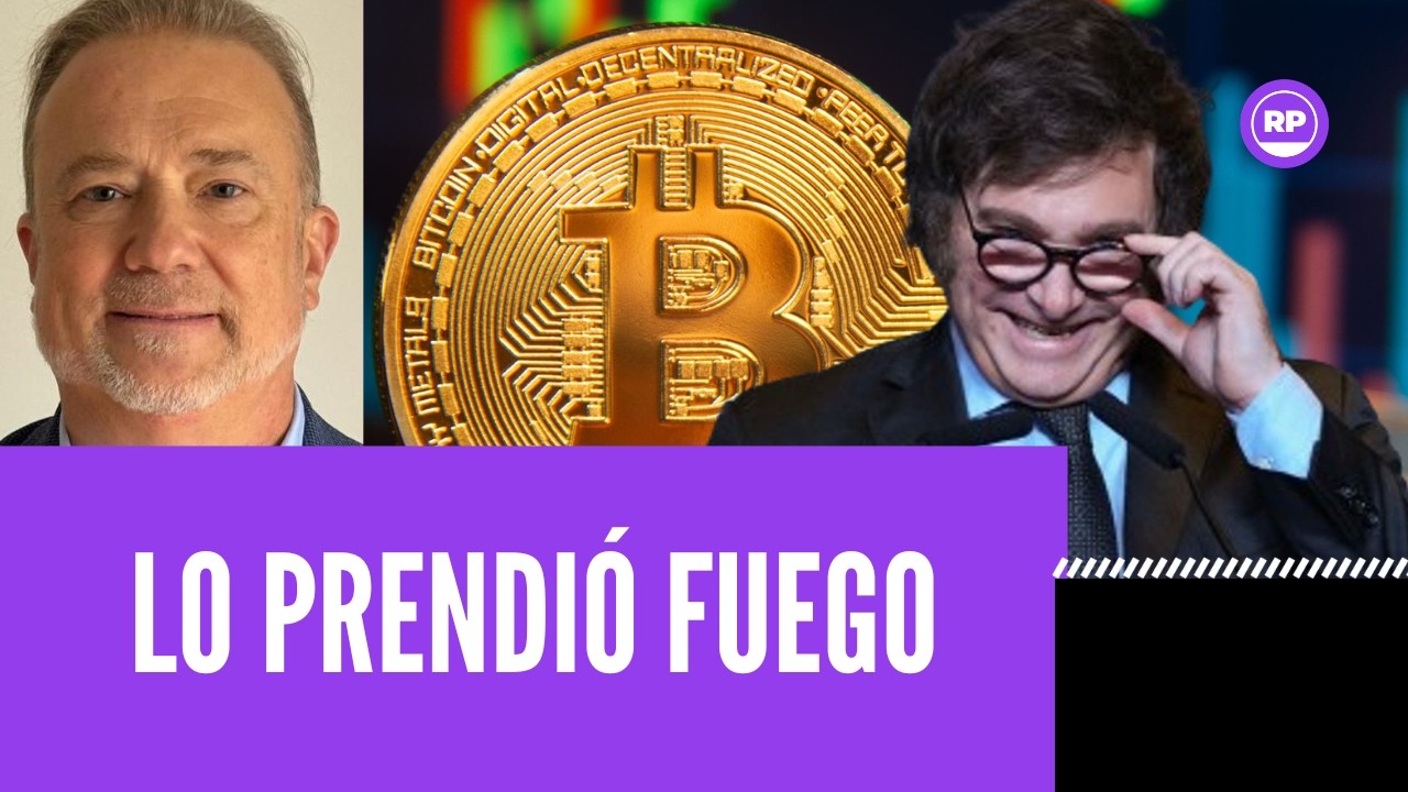 Constitucionalista prendió fuego completamente a Milei: 