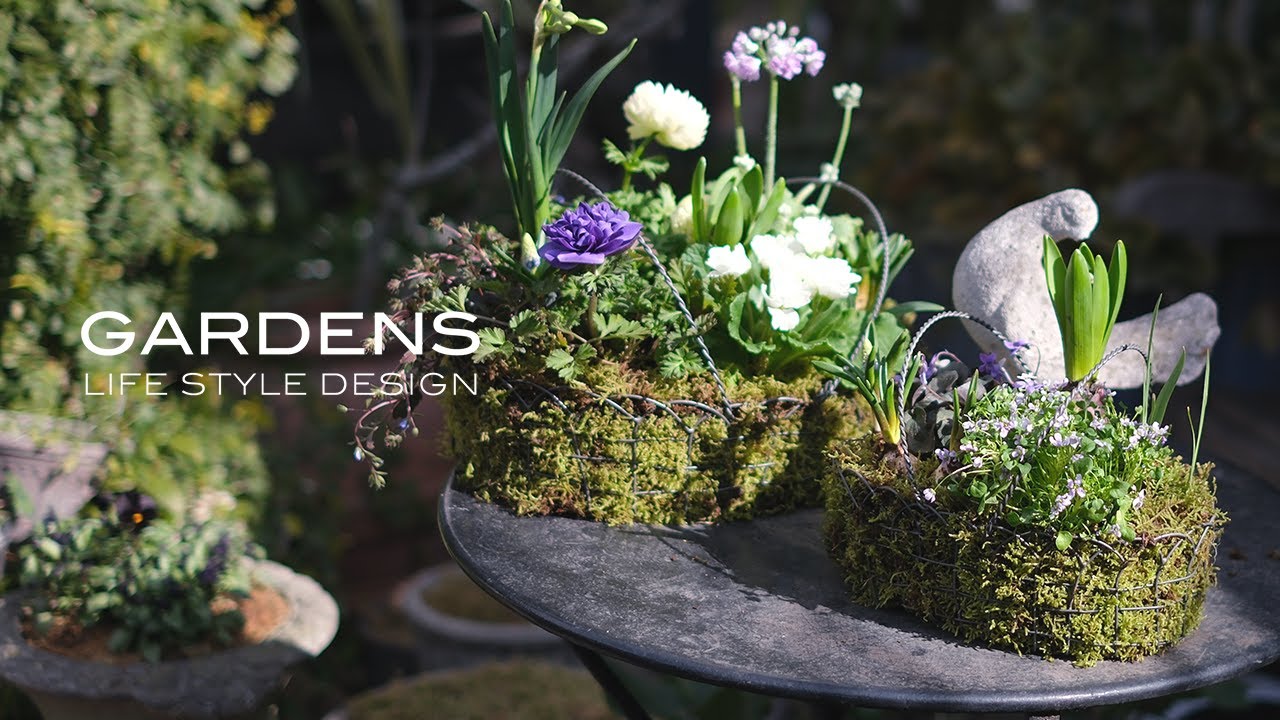 GARDENS 春の芽出し球根を使った寄せ植え２選 【ガーデンズ】