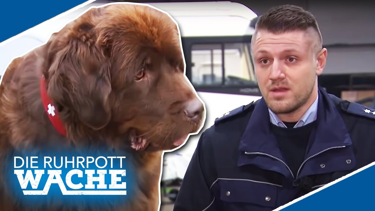 Smolik hat die Schnauze voll! Illegaler WELPENHANDEL, doch wo ist Per?! | 2/2 | Die Ruhrpottwache
