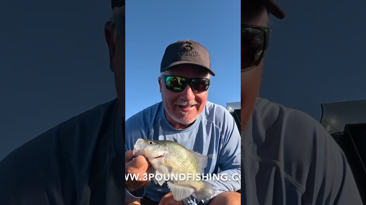 Best bait for a finicky bite. 