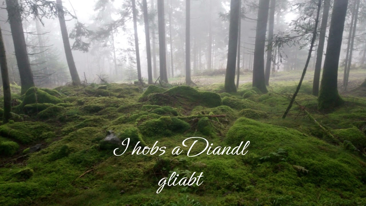 I hobs a Diandl gliabt - traditional Bavarian Music Volksmusik Bayern
