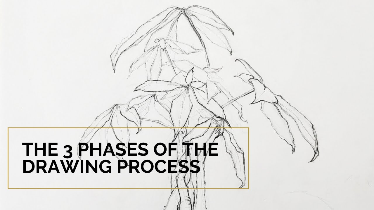 The 3 phases of the drawing process