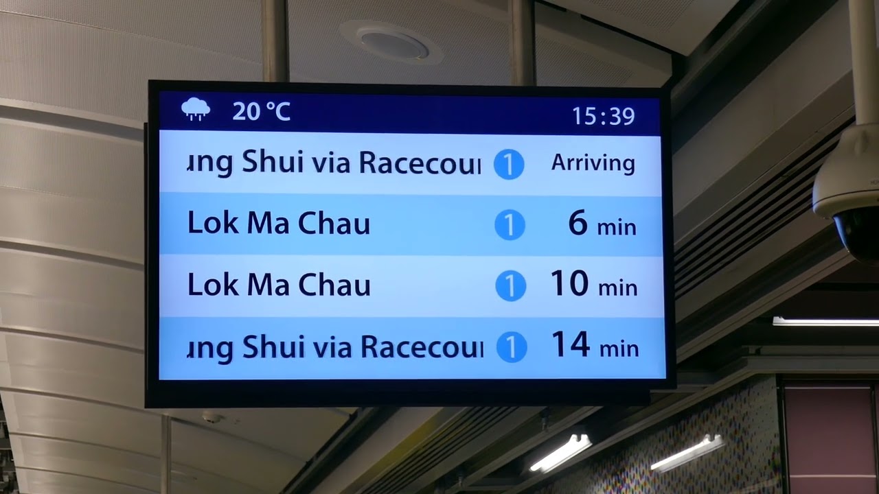東鐵綫各種往落馬洲及往上水經馬場列車到站