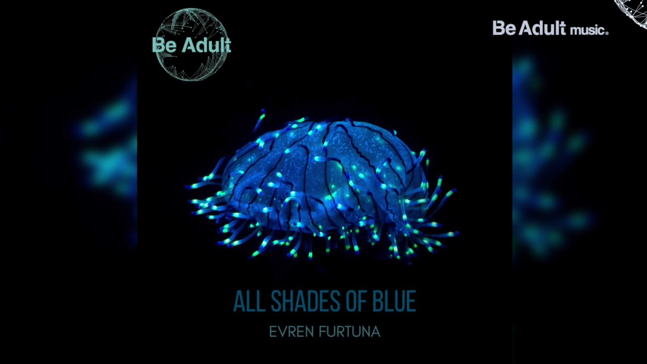 Evren Furtuna - All Shades of Blue 🎵