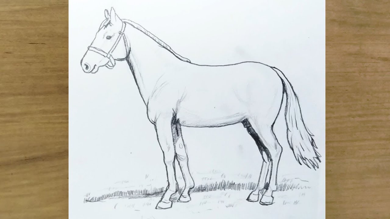 Karakalem At Nasıl &Ccedil;izilir | Karakalem &Ccedil;izimleri | Kolay At Resmi &Ccedil;izimi | How To Draw Horse