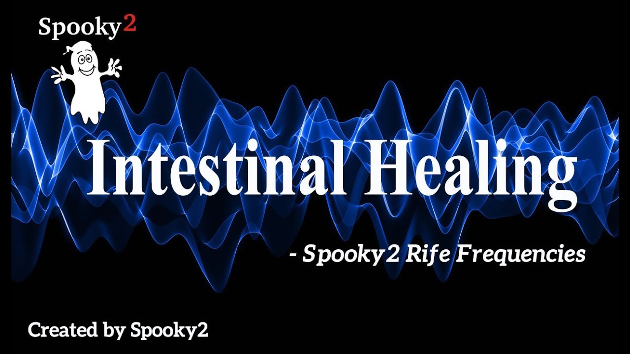 Intestinal Healing - Spooky2 Rife Frequencies