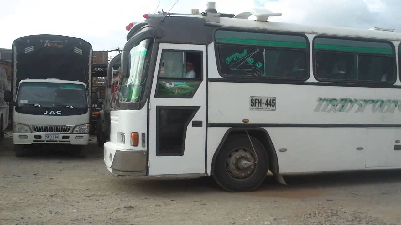 buses clasicos parquenadose