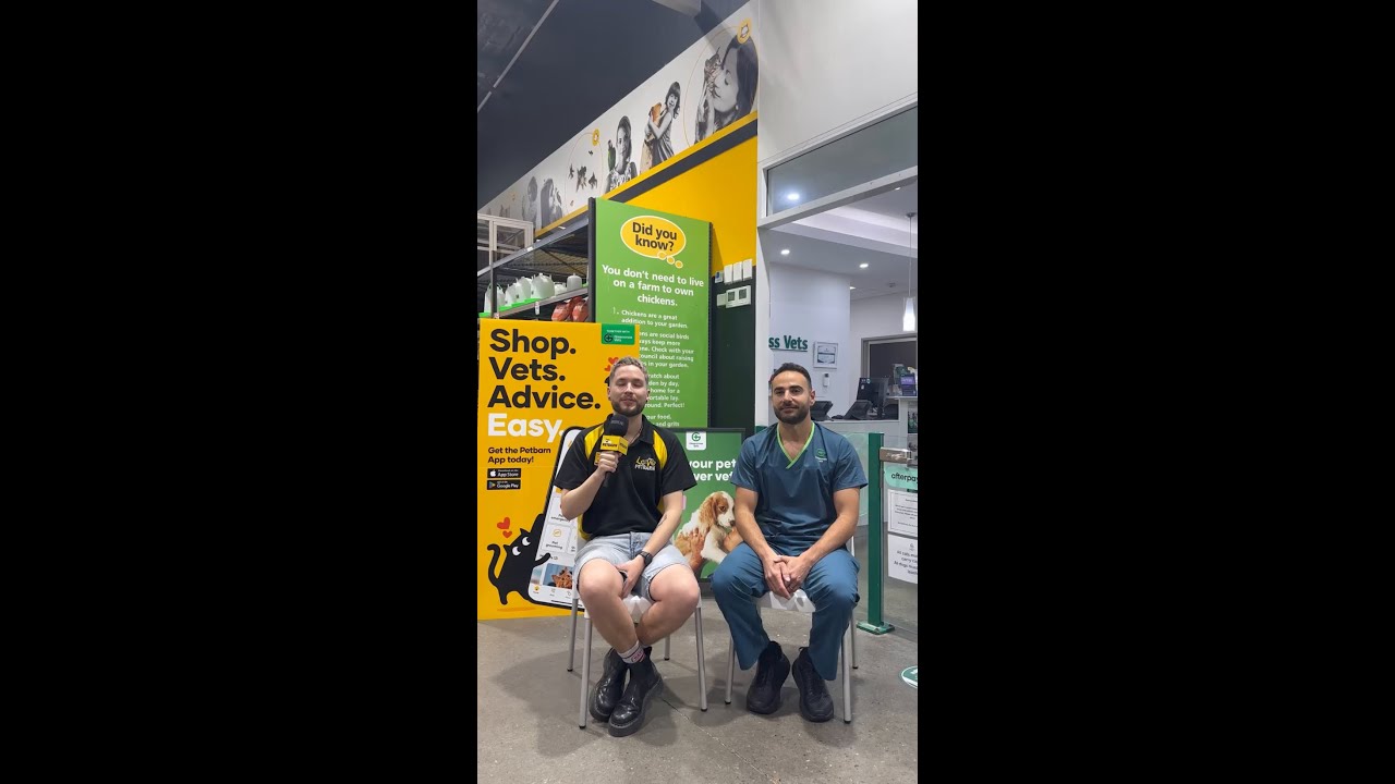 Ask The Vet: Common Parasite Concerns