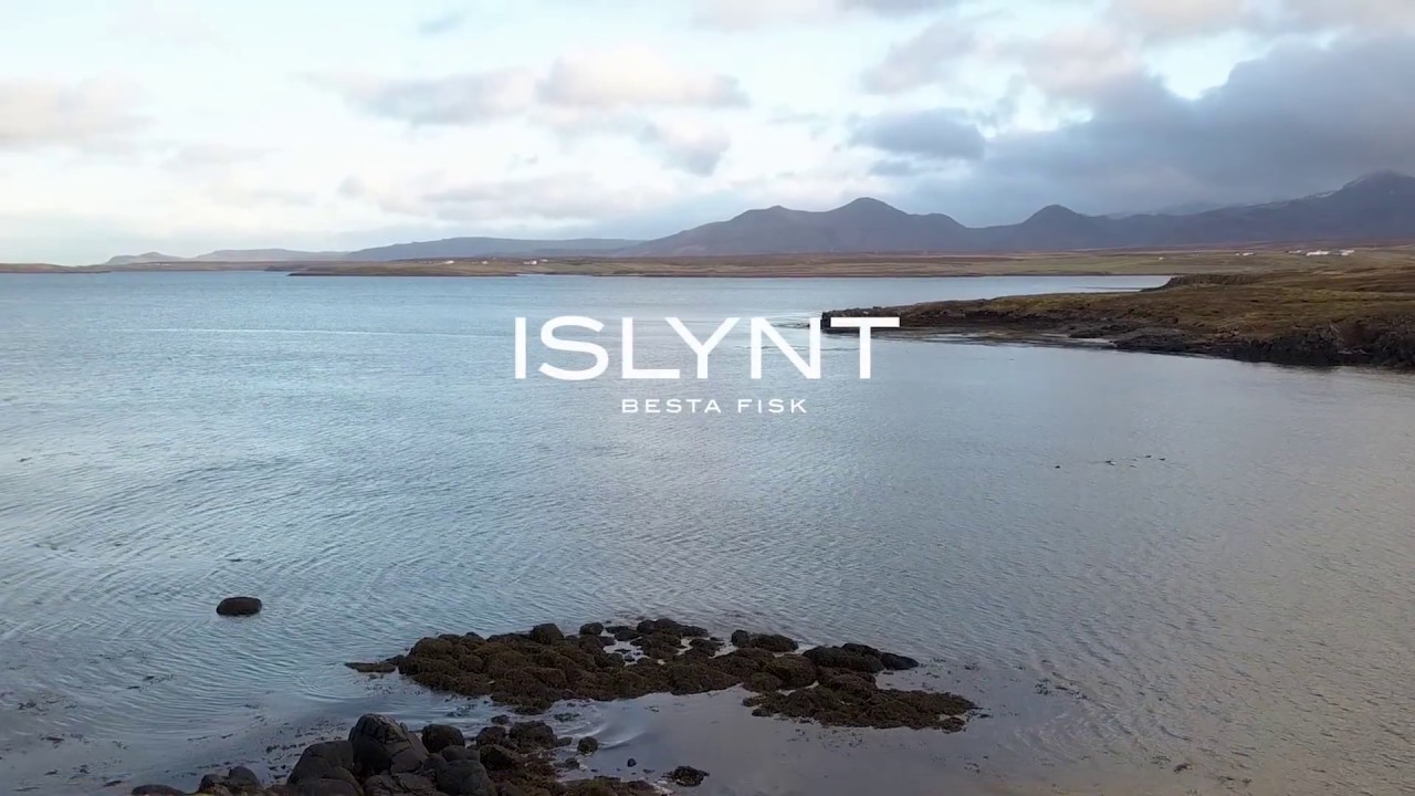 ISLYNT - Bester Fisch aus Island