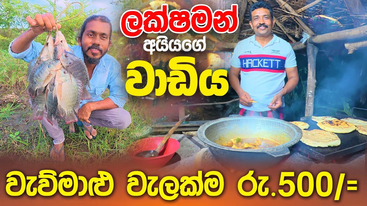 වැව්මාළු වැලක්ම Rs.500/= යී | වැව්මාළු හොද්දයි රොටියක් එක්ක ලක්ෂ්මන් අයියගේ වාඩියේ රැයක් #srilanka 