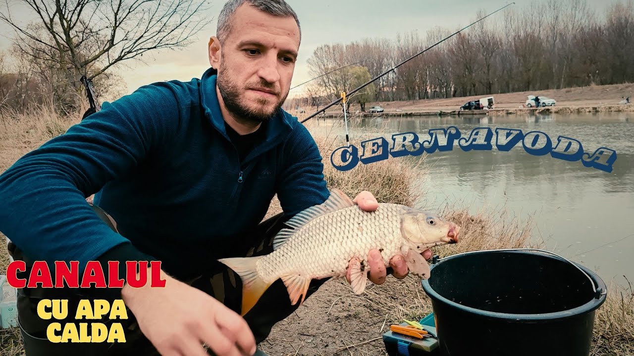 Pescuit pe CANALUL CU APĂ CALDĂ Cernavodă în decembrie