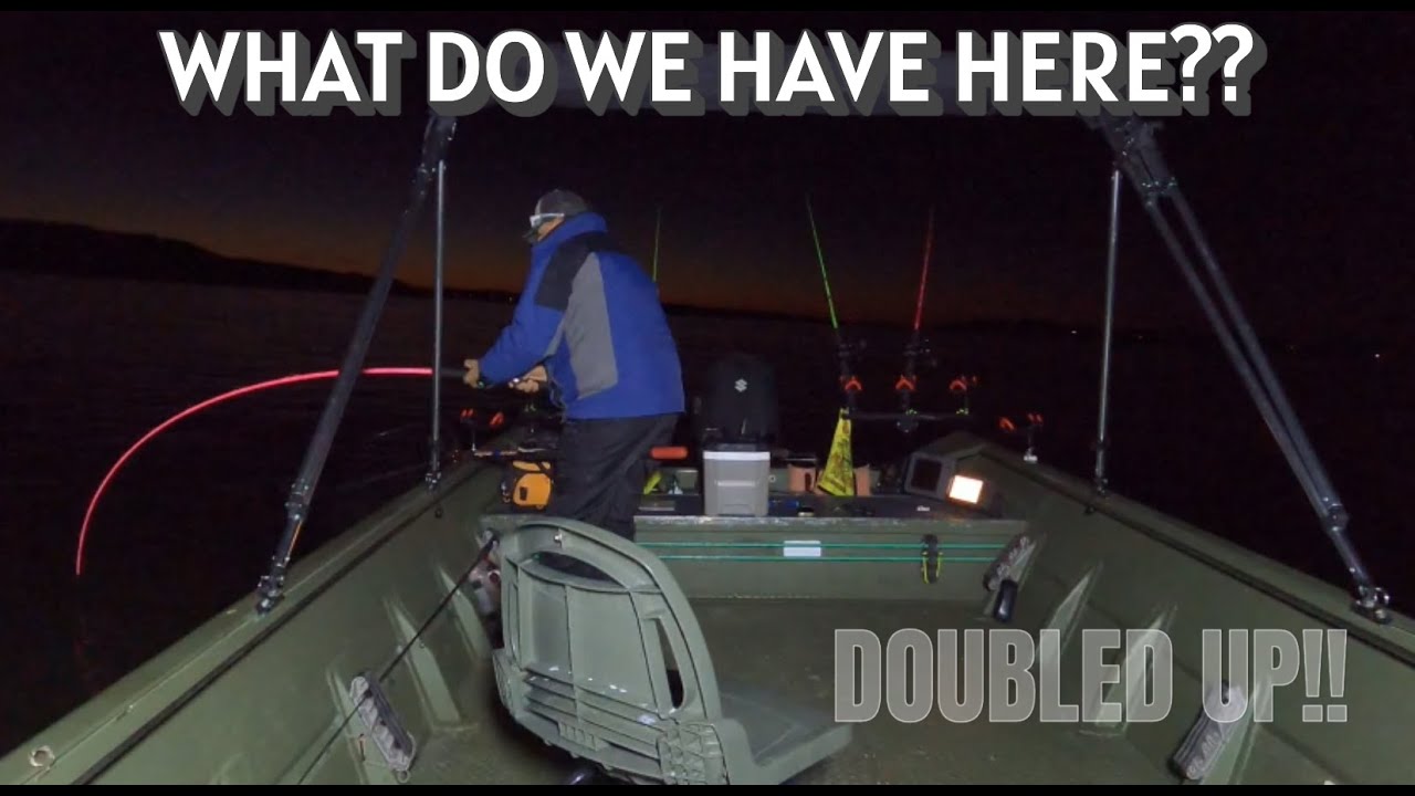 RIGHT BAIT AT THE RIGHT TIME!! WINTERTIME CATFISHING