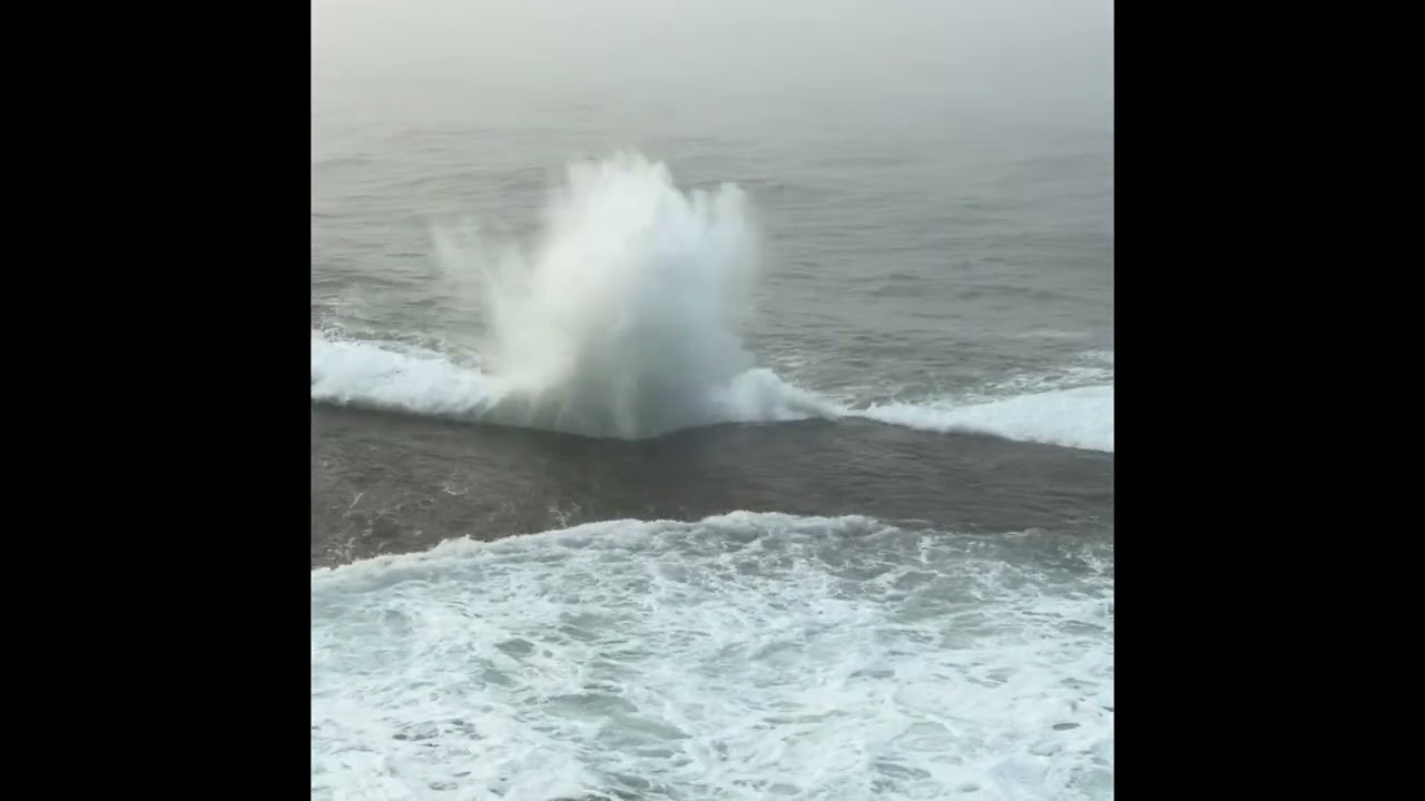 Black Sea Waves in Fog 🌊 Natural Sea Sounds for Sleep (1 Hour) - Sisli Dalgalı Karadeniz. #dalgasesi