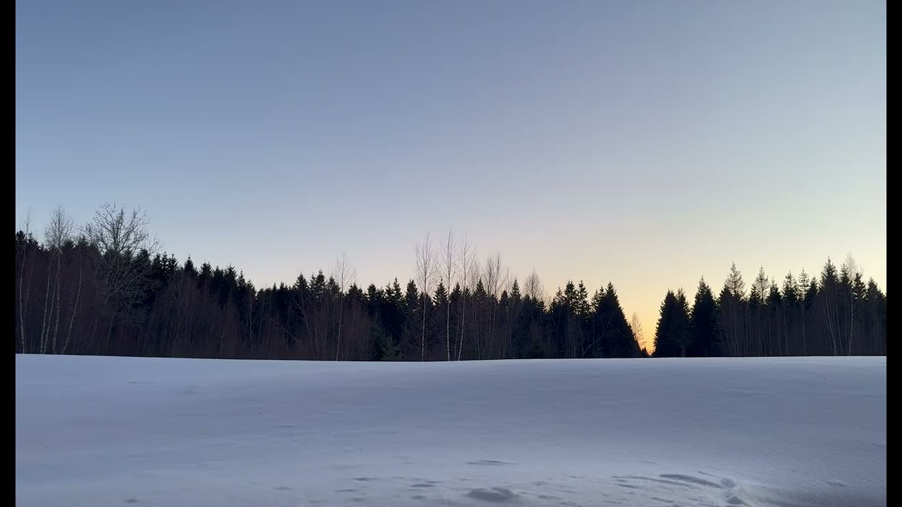 Quiet Winter Sunset | 30 Minutes of Snow and Evening Light (Québec, Canada)