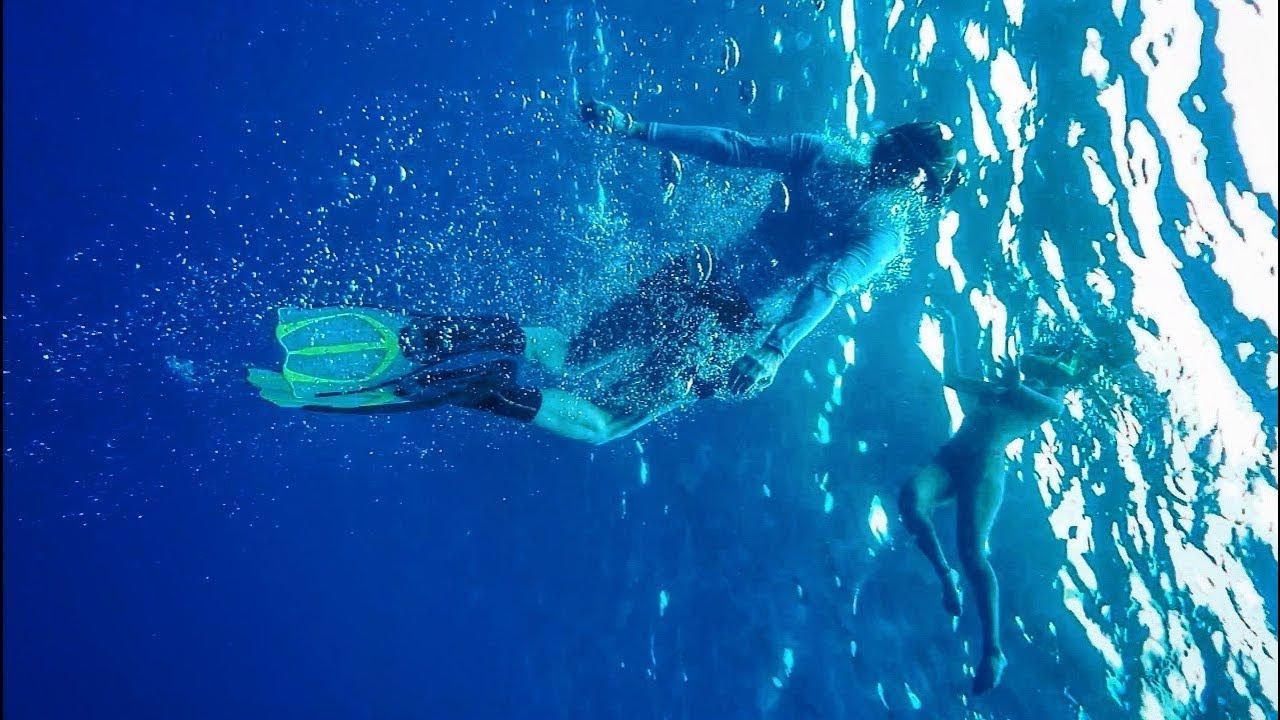 Cozumel's Chankanaab and the World's BEST Snorkeling