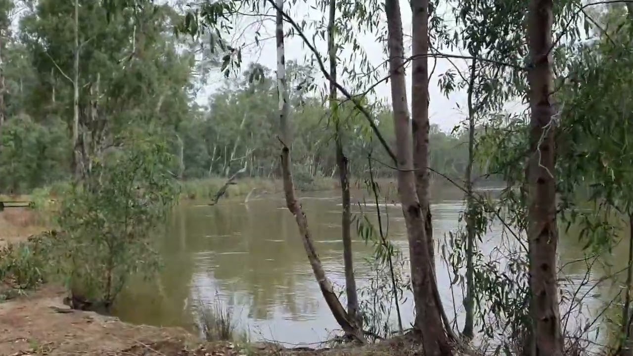 Free Camping NSW River Rd Murray River from Mathoura. Don't use Deadpool/Walthours Rd. Maps at end.