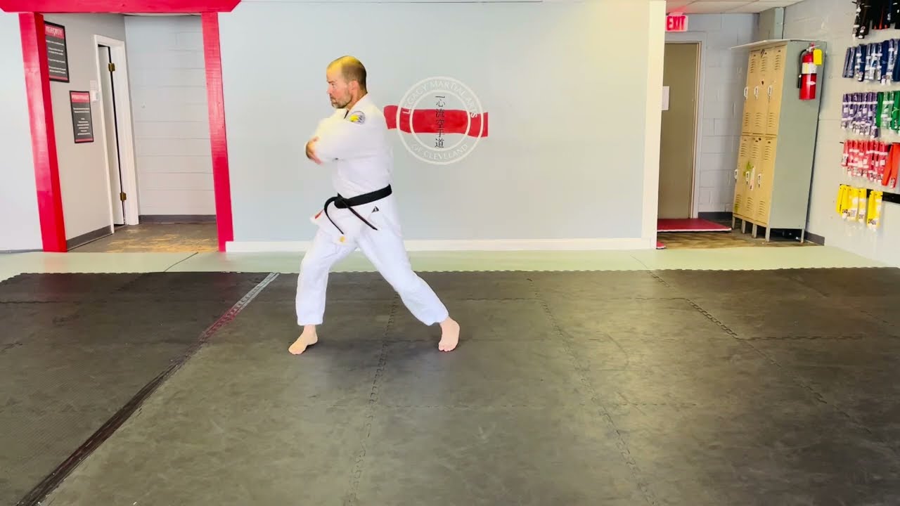 Naihanchi Shodan: Okinawan Karate