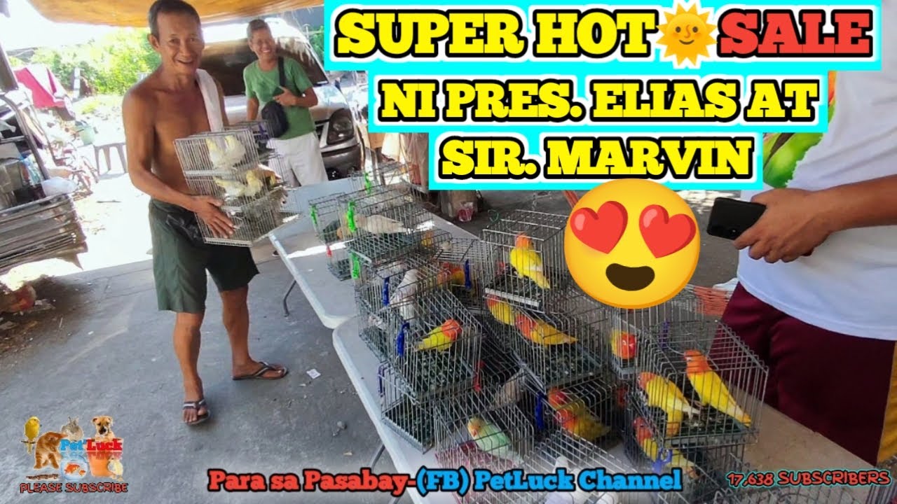 LOVEBIRDS SUPER HOT SALE NI PRES. ELIAS AT SIR. MARVIN