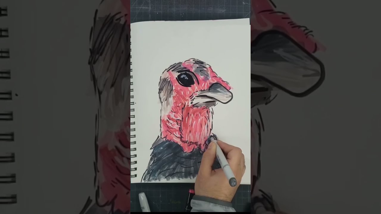 Drawing a Turkey