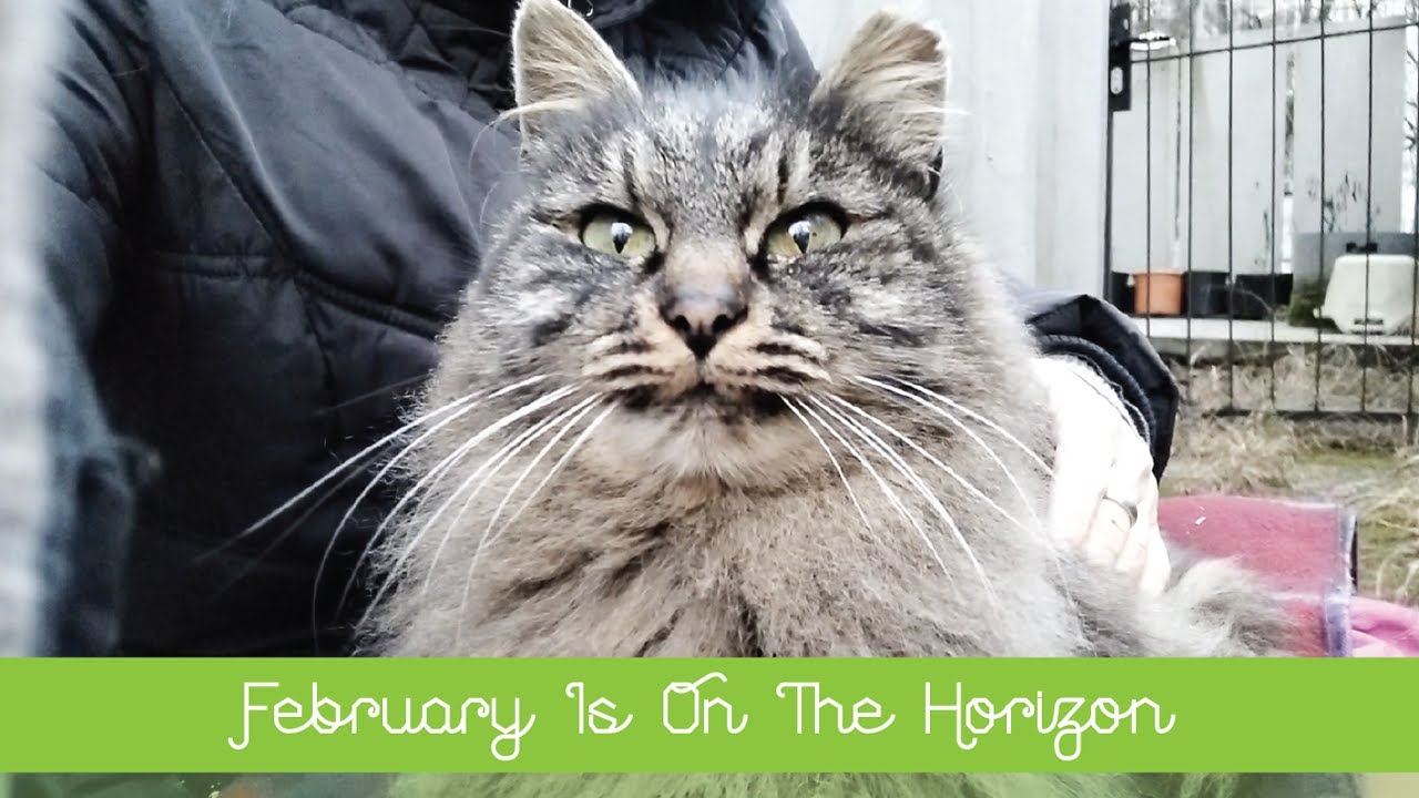 💖 February Is On The Horizon 💖